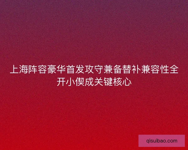 上海阵容豪华首发攻守兼备替补兼容性全开小偰成关键核心 上海阵容豪华首发攻守兼备替补兼容性全开小偰成关键核心